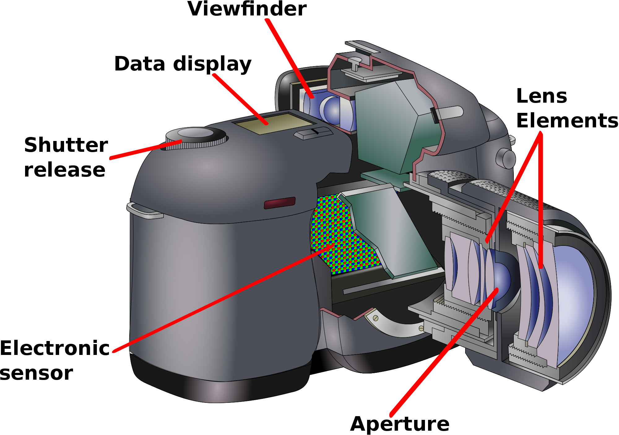 Diagram of a basic camera with important parts labelled