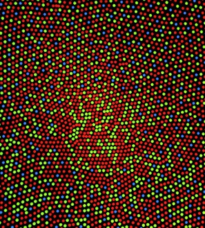 Artist's depiction on human fovea with red, blue, and green dots representing cone cells of each type. The image is predominantly red