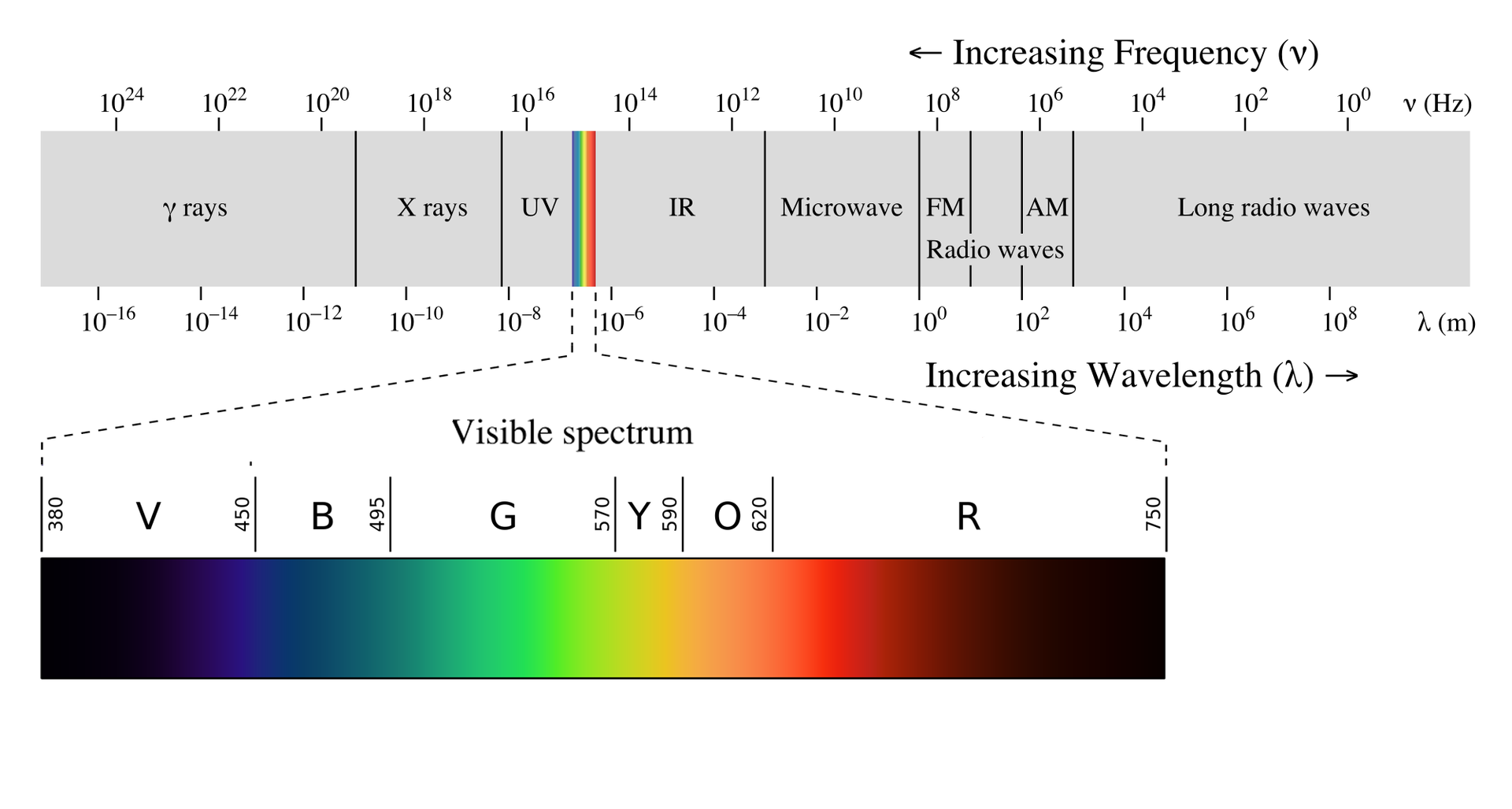 Chart of the electromagnetic spectrum, with wavelengths of visible light magnified and offset