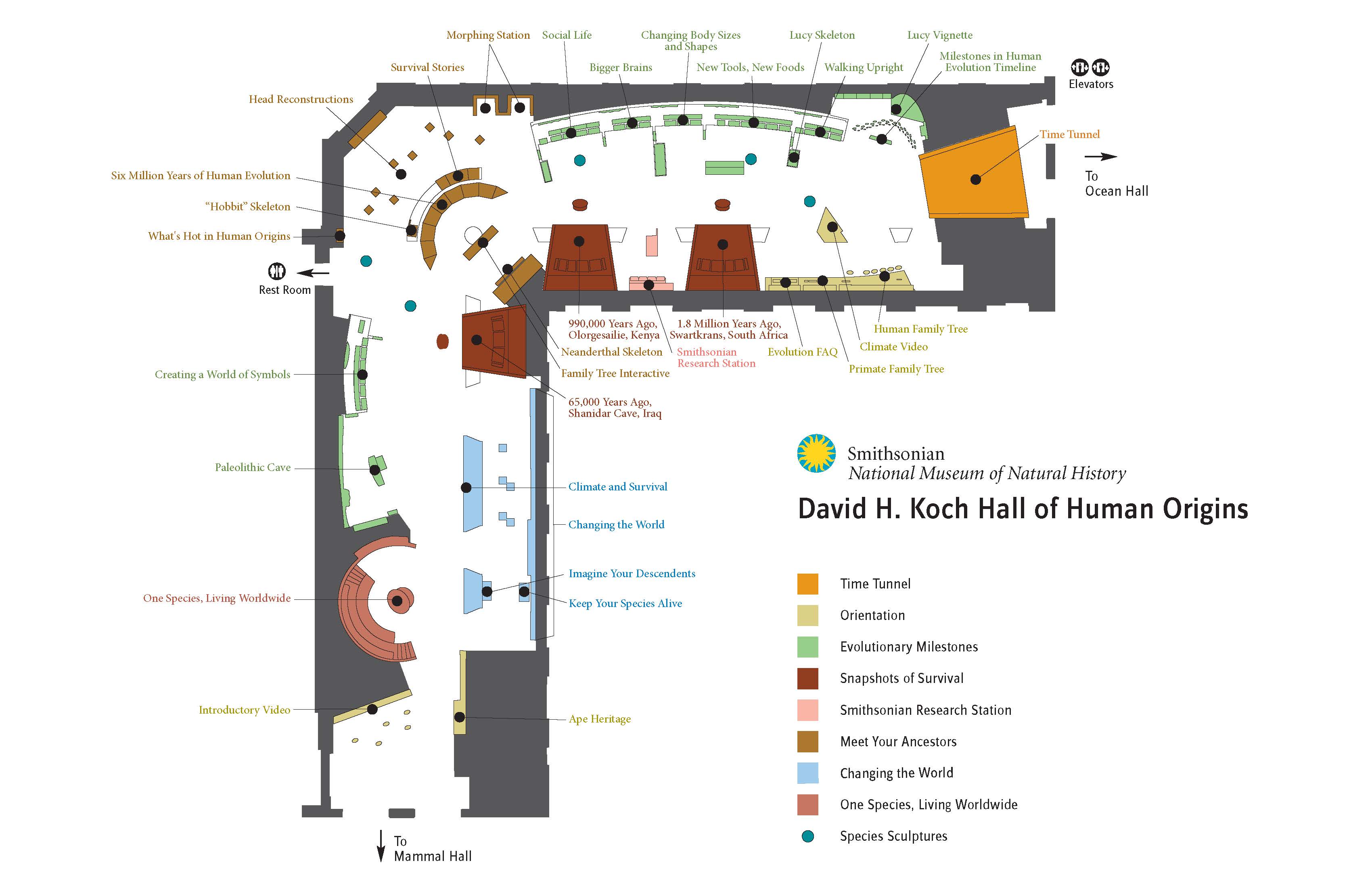 Map of the David H. Koch Hall of human origins exhibit at the Smithsonian Museum of Natural History