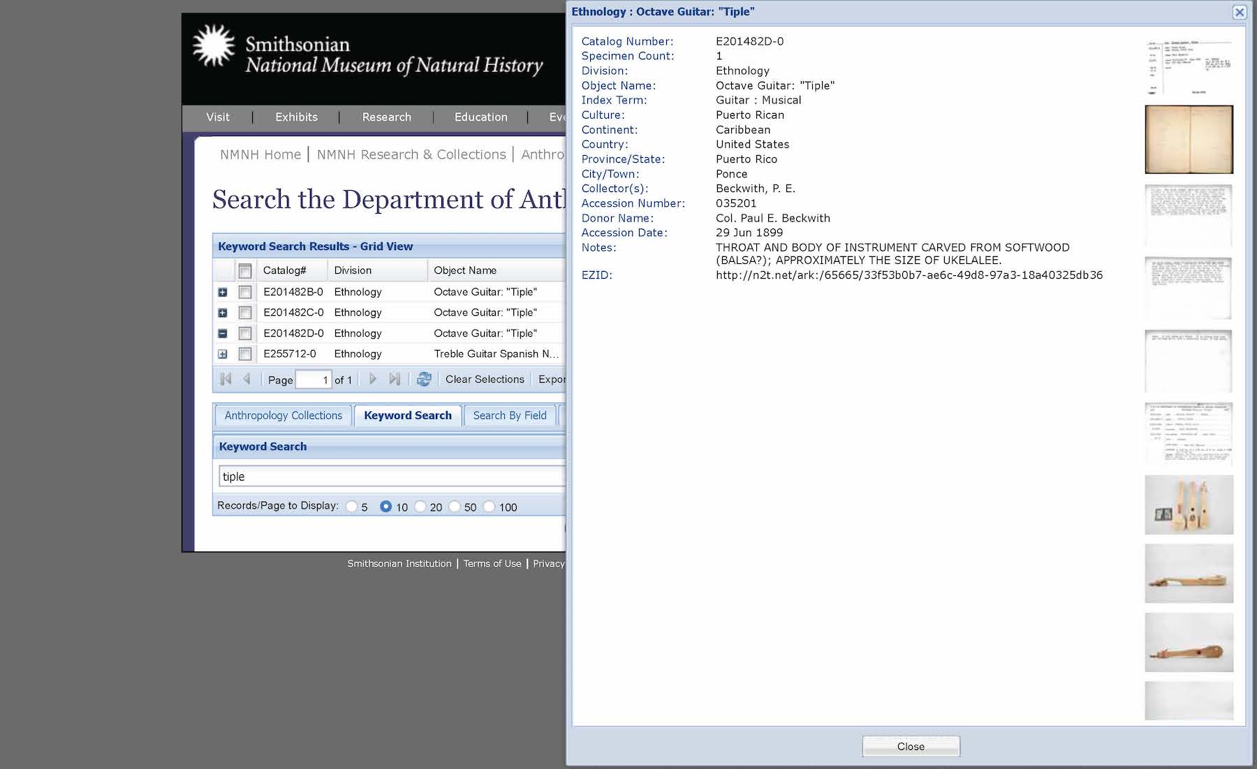 Screenshot of the online catalog page for a string instrument called tiple in the Smithsonian National Museum of Natural History online collection. A list with four results for a keyword search for tiple is visible in the left background.